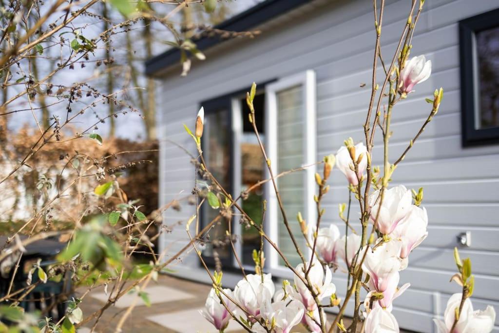 Gezellig Modern Chalet Midden Op De Veluwe Epe Buitenkant foto
